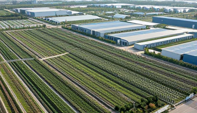 土壤改良中常见误区及科学应用分析